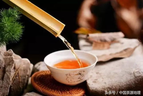 8000元左右茶叶品牌推荐，品味人生，尽在这一杯茶中