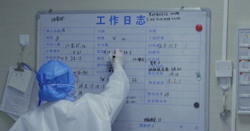 公安机关查开房记录 公安机关查开房记录的真相与影响