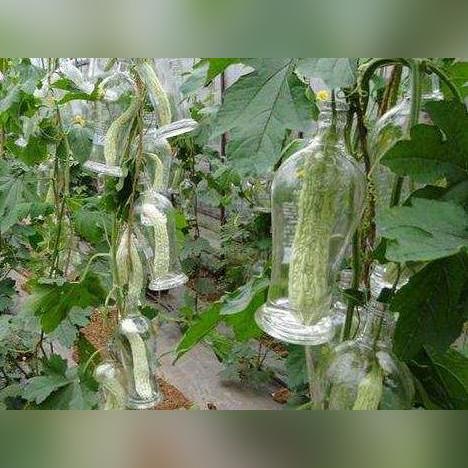 盘点那些值得封存收藏的白酒品牌，每一滴都是时间的精华
