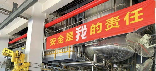 探秘吴兴区，鸭绒被加工厂的地址揭秘与案例分享