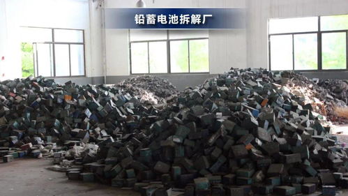 探秘吴兴区，鸭绒被加工厂的地址揭秘与案例分享
