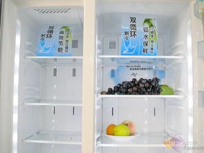 盘点公用冰箱品牌十大排名，揭秘市井生活的小秘密！