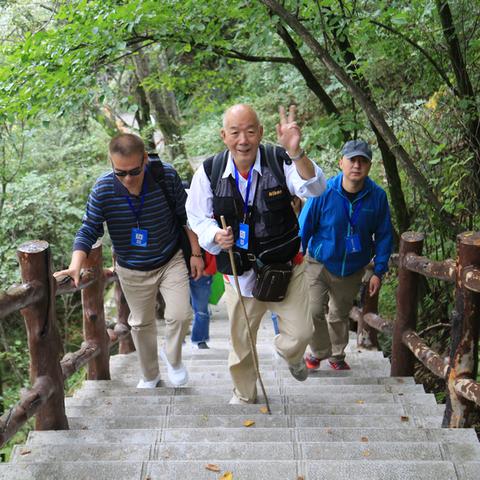 轻松开启直播之旅，新手指南全解析