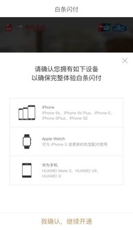 白条提现怎么预约 白条提现预约攻略，轻松操作，资金到账无忧