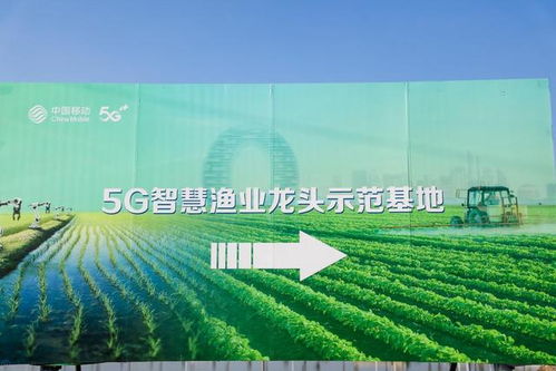 国企在乡村振兴中的领头羊作用，助力乡村发展新篇章