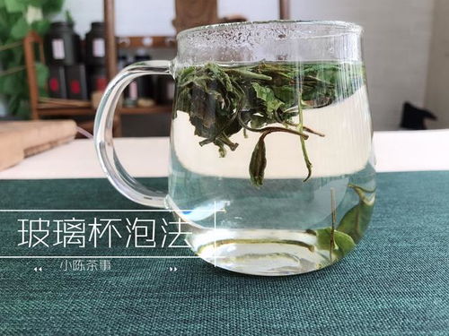 品味清新，探寻好喝绿茶的清香茶叶品牌之旅