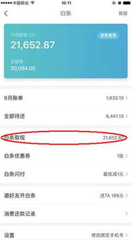 白条现金提现手续费 揭秘白条现金提现手续费，费用明细、案例解析及省钱攻略
