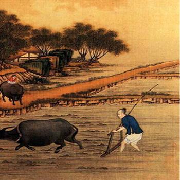 乡村风景画创作指南，如何描绘一幅温馨的田园画卷