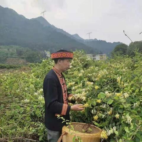掌握医药品牌证书的考取之旅