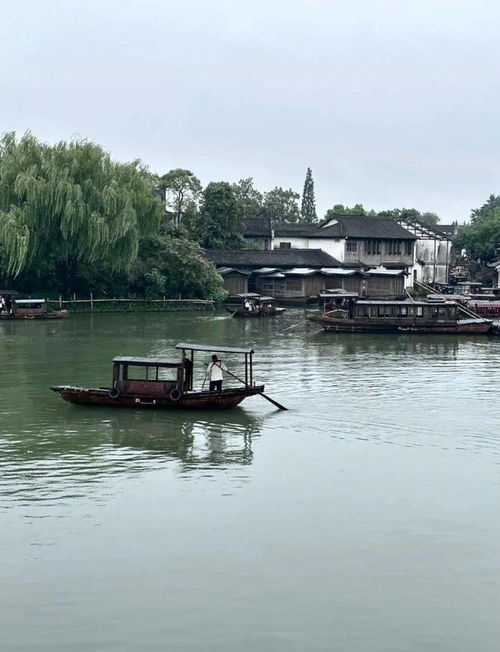 苏州太仓必游景点排行榜，探寻江南水乡的韵味与风情