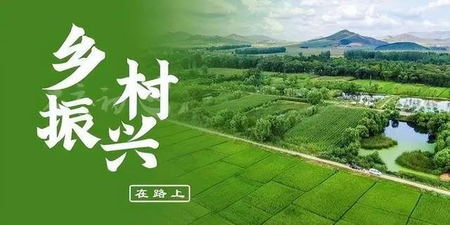 如何让乡村振兴六大员各展所长，助力乡村全面振兴