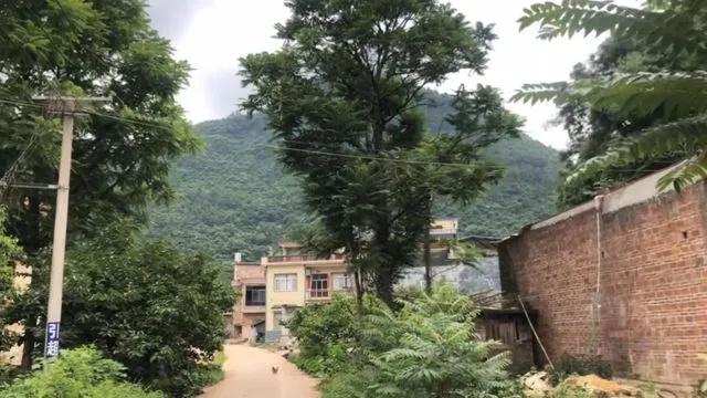 广西山区乡村生活现状，变迁中的乡愁与希望