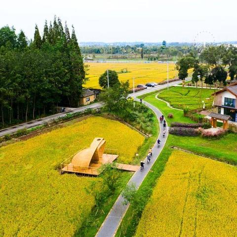 乡村振兴五步走，全方位发力，打造美丽乡村新画卷