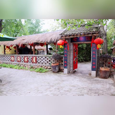 乡村振兴五步走，全方位发力，打造美丽乡村新画卷