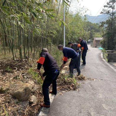 乡村振兴五步走，全方位发力，打造美丽乡村新画卷