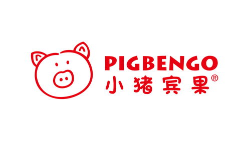 丽水加盟品牌内衣厂名录—探寻优质加盟品牌