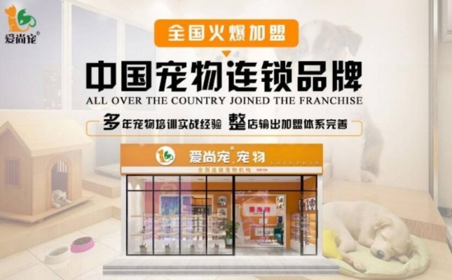 正规宠物加盟店品牌推荐