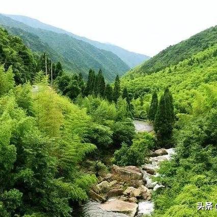 衢州书房家居地毯品牌精选指南