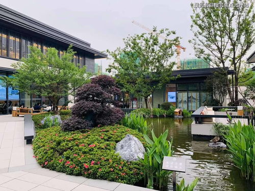 揭秘黑客24小时接单，网络世界的暗流涌动
