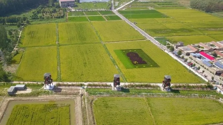 乡村振兴的金钥匙，找准切入点，精准发力