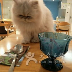 喵星人守护，母婴新选择—猫主题母婴品牌大揭秘