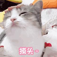 喵星人守护，母婴新选择—猫主题母婴品牌大揭秘