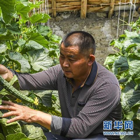 迈向新发展阶段，乡村发展的新路径与新举措
