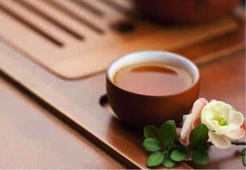 茶叶产地直销品牌大盘点，好茶直供，品质生活从一杯茶开始