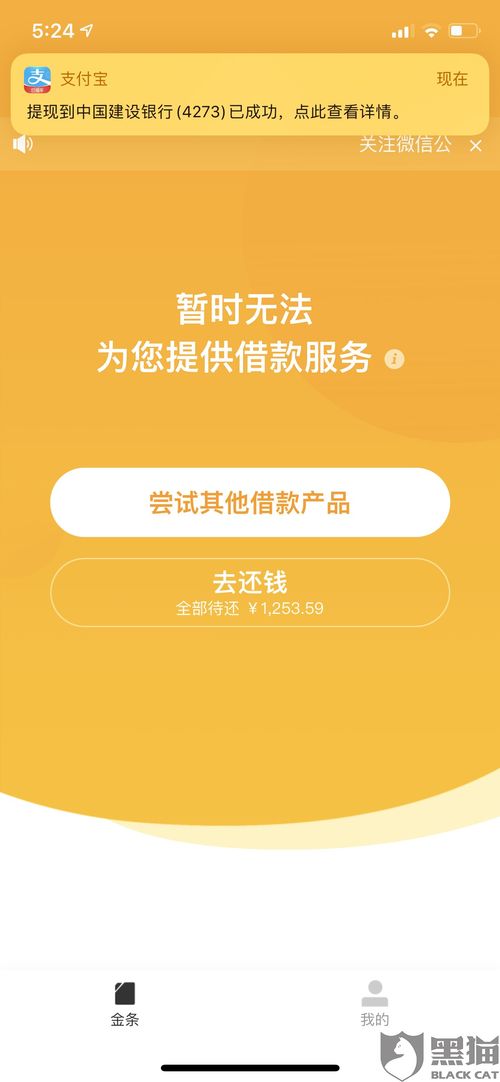 邮政白条如何提现 邮政白条提现攻略，轻松操作，快速到账！