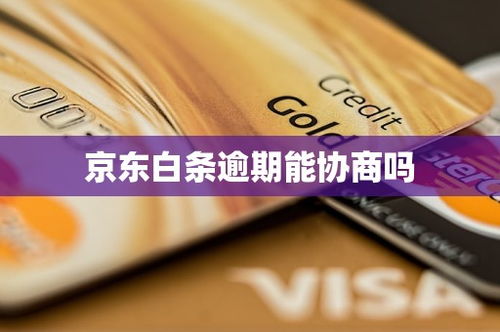 掌握京东白条提现技巧，轻松实现资金周转