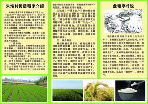 携手共建美丽乡村—乡村公益基金会倡议书