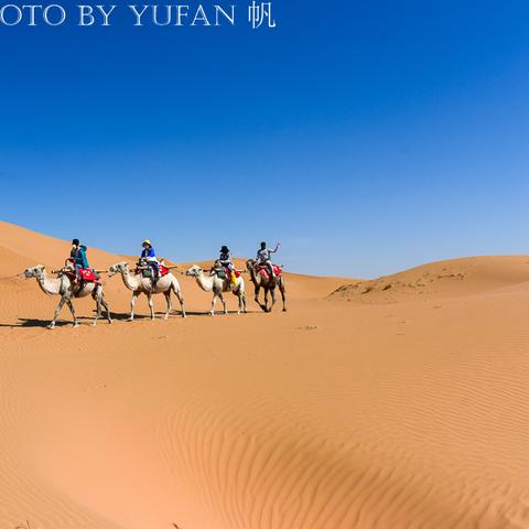青海旅游攻略，盘点最新青海景点排行榜，这些地方你不可错过！