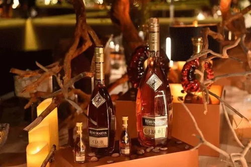 长沙户外酒桶品牌的魅力探索