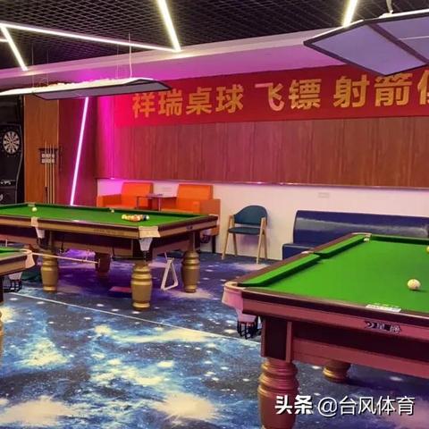定西台球品牌加盟店推荐