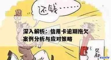 如何追回欠款，实用攻略与案例分析