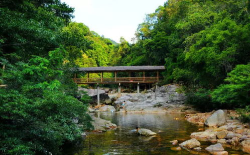 弥勒市内热门景点大盘点，畅游美丽山水之间