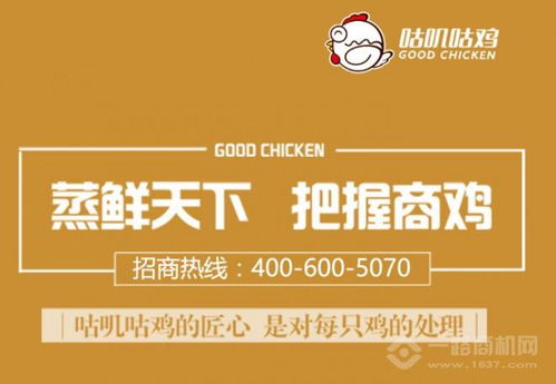 陶香鸡加盟品牌店汇总，热门加盟品牌与开店策略