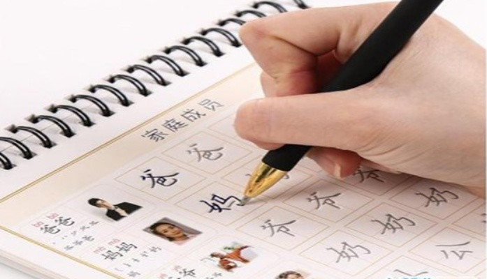 练字加盟十大品牌揭晓，品牌实力与案例分析