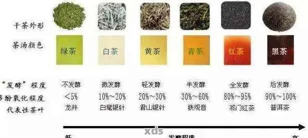 探寻发酵茶的魅力—盘点知名发酵型茶叶品牌及案例