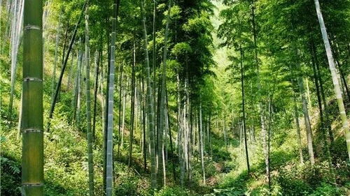 乡村跑山，感受自然与生活的节奏