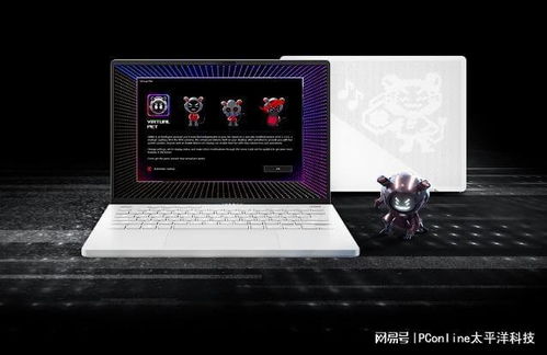 高定品牌排版软件电脑，打造时尚视觉盛宴的秘密武器