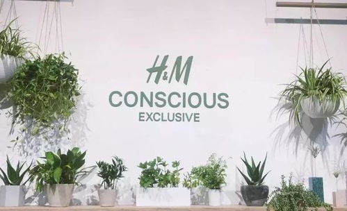 户外品牌衣服回收 绿色行动，时尚与环保的完美结合
