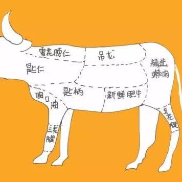 广州减肥加盟店品牌推荐及案例分析