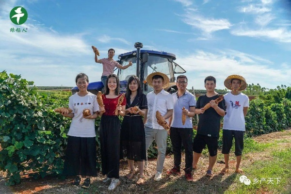 乡村振兴，青年创业新篇章—如何吸引青年人才返乡创业