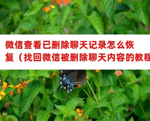 怎样查找已删除的微信聊天記录 找回丢失的微信聊天记录，实用技巧大公开