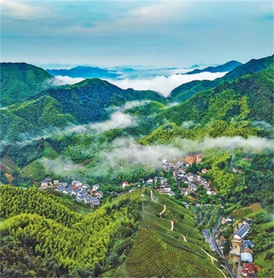 径山乡村房子价格走势揭秘，涨跌之间，谁主沉浮？