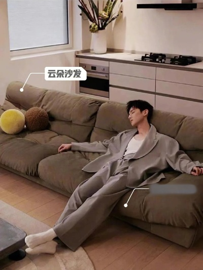 明星沙发品牌大盘点，哪个品牌才是你的心头好？