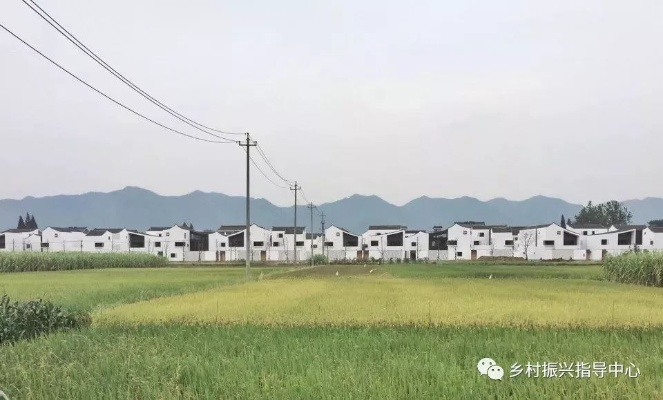 乡村振兴，内涵解读与案例分享