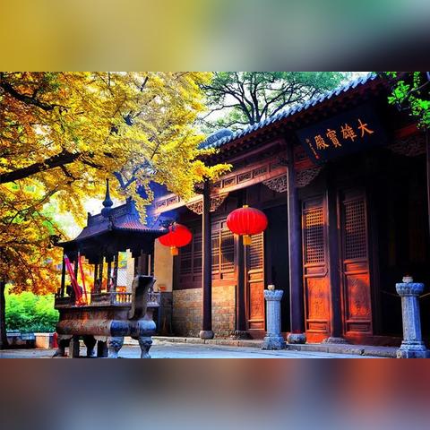 济南茶叶市场品牌盘点，品味济南，尽享茶香四溢