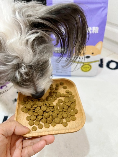 老年犬专属零食大推荐，呵护爱犬晚年，这些品牌值得信赖！
